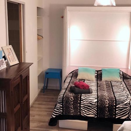 Grand Studio Cahors Centre Rdc Proche Gare Pont Valentre Apartment ภายนอก รูปภาพ